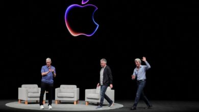 Allegations of Gender Pay Disparity at Apple